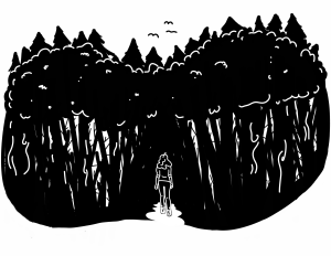 Illustration by Aedin Gardill